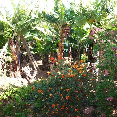 וילה Quinta Sao Goncalo