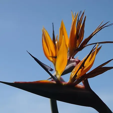 Quinta Sao Goncalo Вилла